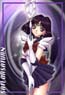 hotaru005
